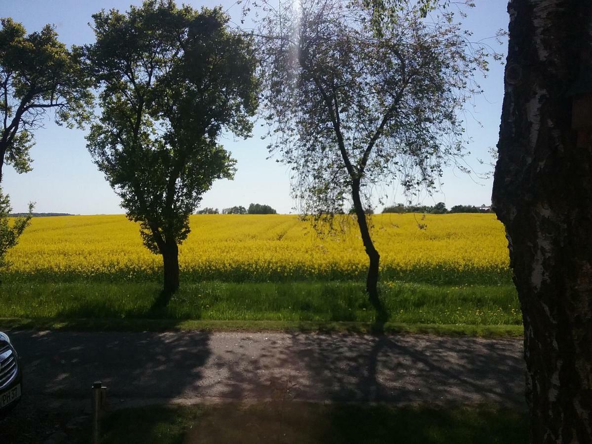 Ferienwohnung Thien Gross Niendorf  エクステリア 写真